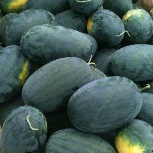 吃瓜黑料反51cn,吃瓜黑料背后的真相与反思